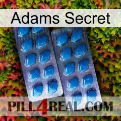 Adams Secret viagra2